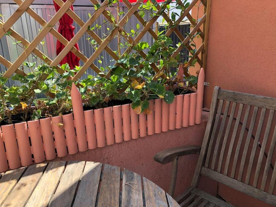 Moderne Mini Maison Lézignan-Corbières Zewnętrze zdjęcie