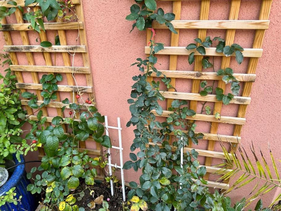 Moderne Mini Maison Lézignan-Corbières Zewnętrze zdjęcie