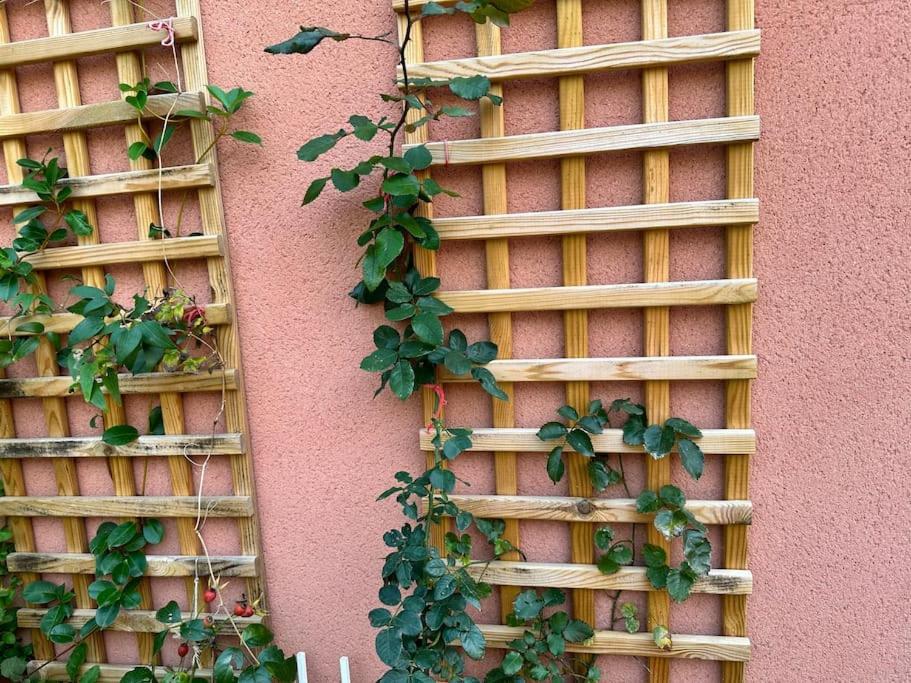 Moderne Mini Maison Lézignan-Corbières Zewnętrze zdjęcie