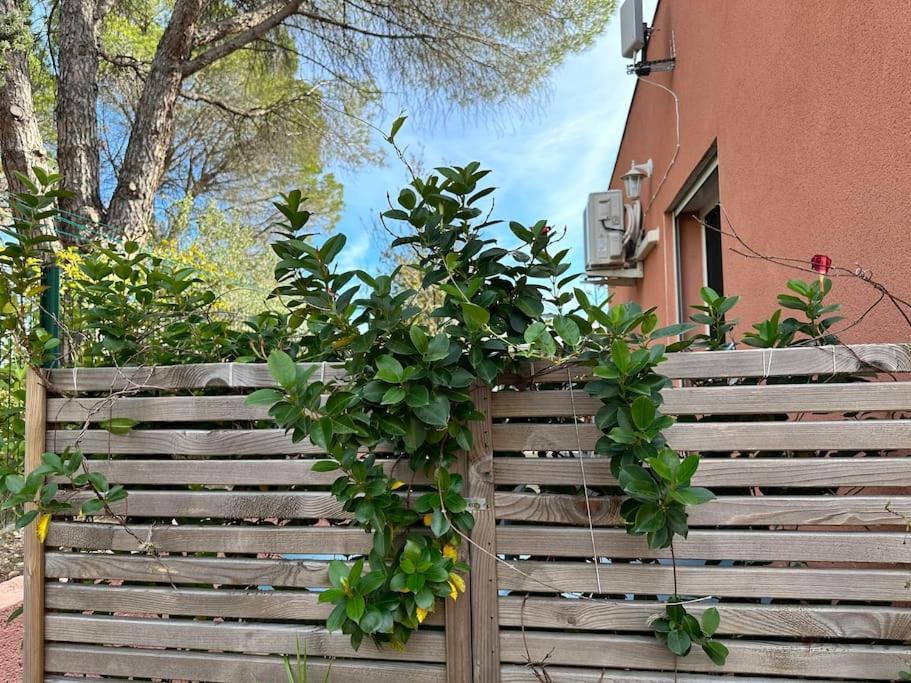 Moderne Mini Maison Lézignan-Corbières Zewnętrze zdjęcie
