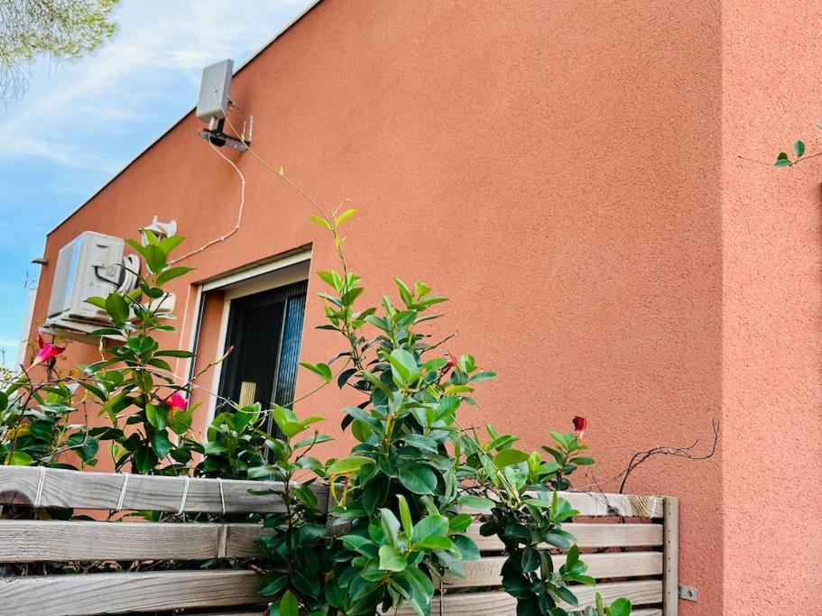 Moderne Mini Maison Lézignan-Corbières Zewnętrze zdjęcie